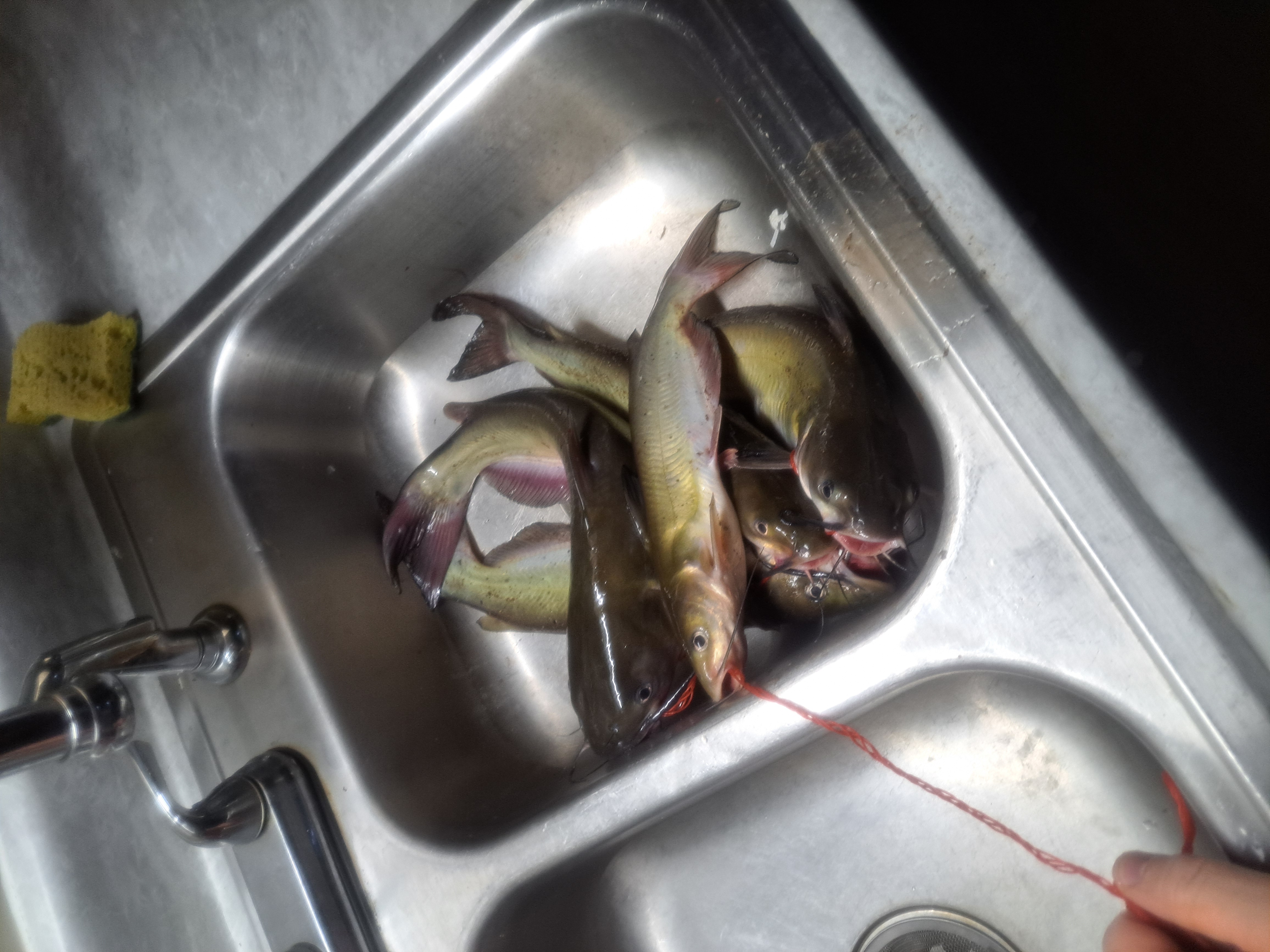 mistake clean indoors